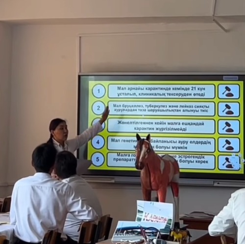 «ТМД ЕЛДЕРІНЕ АСЫЛ ТҰҚЫМДЫ ЖЫЛҚЫЛАР ЖӘНЕ ЖАРЫС АТТАРЫН ИМПОРТТАУ ҮШІН ҚОЙЫЛАТЫН ТАЛАПТАР» ТАҚЫРЫБЫНДА АШЫҚ САБАҚ ӨТТІ